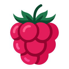 Raspberry Fruits Vector Illustration – Juicy Red Berry Graphic Design for Healthy Food, Organic Farm, and Nature Concepts