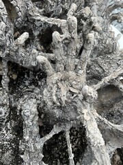 Thailand Temple Sculpture on Hands
