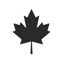 Black silhouette of maple leaf on white background