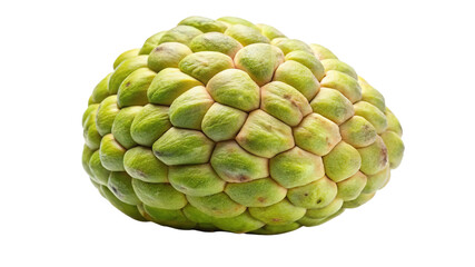Fototapeta premium A ripe custard apple fruit with green scaly skin isolated on transparent background