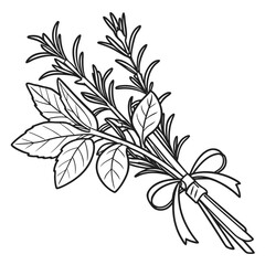 A simple line art illustration of a bouquet of fresh rosemary and sage herbs tied together with a delicate ribbon bow perfect for culinary or decorative design