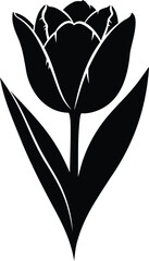 Tulip flower silhouette vector illustration in black with stem and leaves