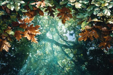 Reflective nature scene tranquil lake photography serene environment aerial view natural beauty