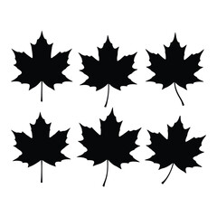 Six black maple leaf silhouettes autumn season nature fall foliage design elements collection silhouette