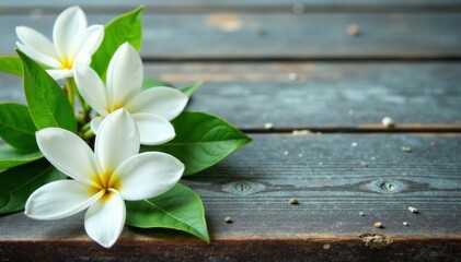 Delicate white blossoms arranged on rustic wood , bouquet, floral arrangement