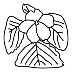 Hand-drawn flower with bold outlines, simple petals, and detailed leaves. Perfect for botanical designs, coloring pages, or natural-themed graphics.