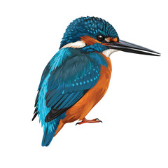 Obraz premium A vibrant kingfisher bird, realistically rendered in a striking 2D flat vector illustration, stands out against a clean, plain white background, capturing its distinctive colors and elegant form.