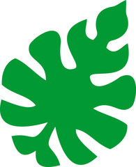 Green Leaf Vector Illustration , Nature and Eco Design Element. Tropical Leaves Vector Set – Botanical and Organic Illustration.