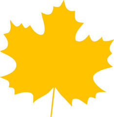 Green Leaf Vector Illustration , Nature and Eco Design Element. Tropical Leaves Vector Set – Botanical and Organic Illustration.