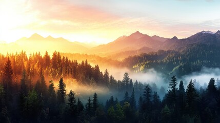 Fototapeta premium Majestic sunrise over misty forest mountains nature landscape scenic viewpoint peaceful environment