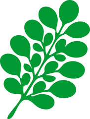 Green Leaf Vector Illustration , Nature and Eco Design Element. Tropical Leaves Vector Set – Botanical and Organic Illustration.