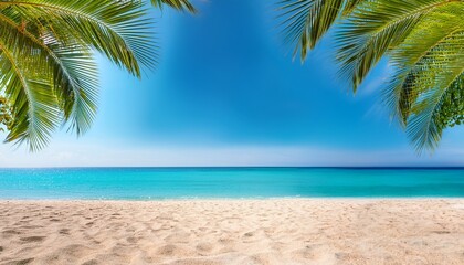 Fototapeta premium beautiful sand beach under palm leaves horizon over the sparkling blue sea idyllic summertime background concept with copy space vacation in south sea idyll empty nature on a cheerful day