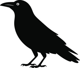 Fototapeta premium Black bird silhouette vector crow