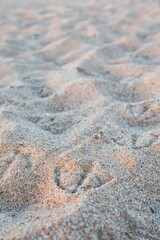 Seagull Tracks in the Sand at Maine Beach