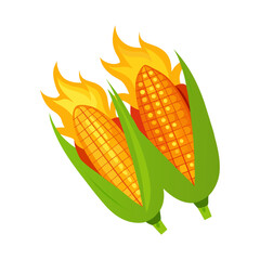 corn on a white background