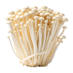 Cluster of fresh enoki mushrooms