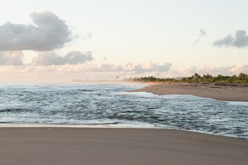 Piracanga beach in Itacaré, Bahia. Virgin forest coastline with golden sand and turquoise waters. Unique natural scenery where sea turtles hatch, a symbol of preservation and tropical beauty.