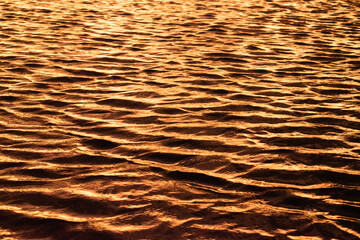 Piracanga beach in Itacaré, Bahia. Virgin forest coastline with golden sand and turquoise waters. Unique natural scenery where sea turtles hatch, a symbol of preservation and tropical beauty.