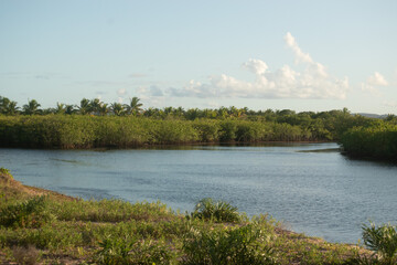 Piracanga beach in Itacaré, Bahia. Virgin forest coastline with golden sand and turquoise waters. Unique natural scenery where sea turtles hatch, a symbol of preservation and tropical beauty.