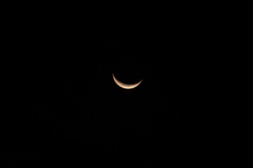 Piracanga beach in Itacar&eacute;, Bahia. Virgin forest coastline with golden sand and turquoise waters. Unique natural scenery where sea turtles hatch, a symbol of preservation and tropical beauty.