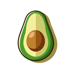 vector illustration of an avocado