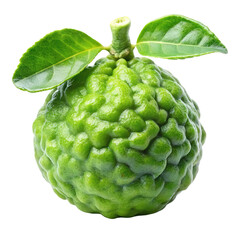 A vibrant green kaffir lime fruit with two fresh leaves isolated on transparent background