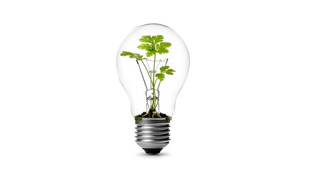 A lightbulb with a plant growing inside it on a white background in a studio environment setup