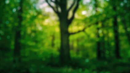 Obraz premium A lush forest scene featuring vibrant green bokeh effects