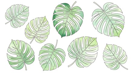 Fototapeta premium Watercolor Monstera Leaves Seamless Pattern with Delicate Green Tones