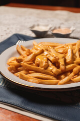 Close-up view of French fries with melted cheddar cheese served on a plate.
