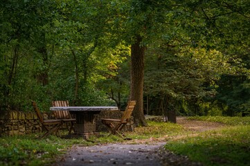 A stone dining set with chairs located in a lush, tree-filled park area