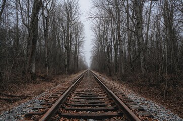 Fototapeta premium A vertical shot of an old train track surrounded by bare trees