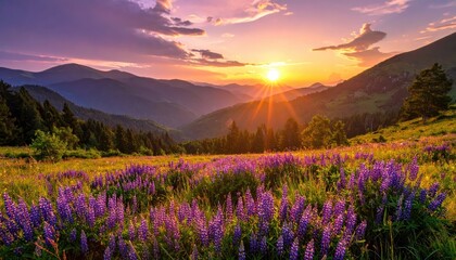 Obraz premium Stunning Sunset Over Mountains With Vibrant Purple Wildflowers