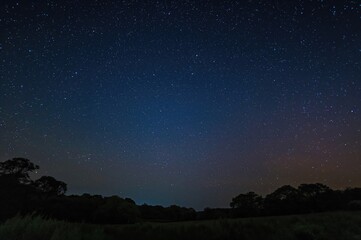 Genuine photo capturing a star-filled night sky