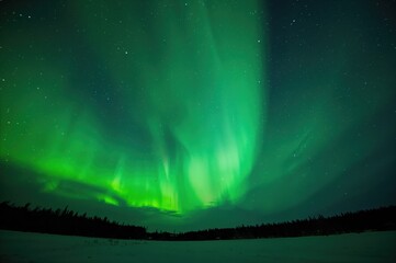 Fototapeta premium Winter spectacle of the shimmering northern skies