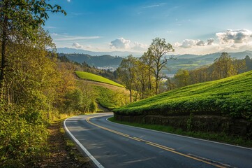 Fototapeta premium Sunny day view of a mountain landscape with green tea fields and an asphalt road
