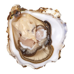 A  shot presents a fresh oyster, its opened shell revealing the plump, creamy flesh and intricate textures within a dark backdrop, accentuating its culinary appeal.
