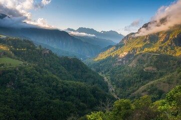 Naklejka premium Valley of Arfak in the Western Region