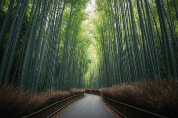 Bamboo grove scenery with trees, leaves, and a path in a lush green garden