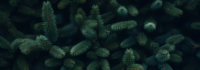 Bright fir Christmas tree branch in winter landscape