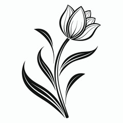 Elegant tulip flower illustration isolated on white background, perfect for minimalist designs and floralthemed projects