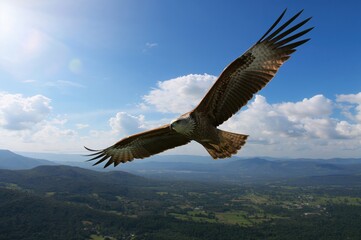 Fototapeta premium A majestic eagle flying high over the terrain