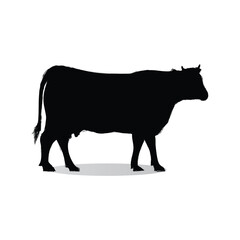 Black Cow Silhouette on White Background