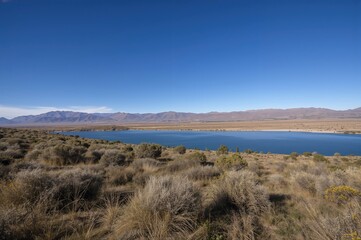 Wide-angle view of a highland lake and surrounding grasslands with mountain ranges and sun-dried shrubs in the elevated regions of South America