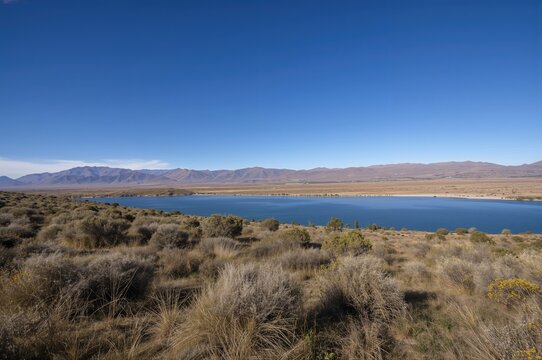 Wide-angle view of a highland lake and surrounding grasslands with mountain ranges and sun-dried shrubs in the elevated regions of South America - Powered by Adobe