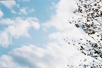 sky and clouds