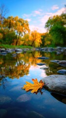 A serene autumnal scene, with a solitary golden leaf resting on the placid surface of a shallow stream, reflecting the vibrant foliage and a clear sky above.