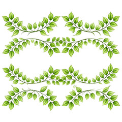 Green leafy vine dividers