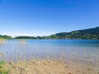 Lake Schliersee, with its shores partially covered with aquatic vegetation, offers a view of island of Wörth and the town of Schliersee to the north.
