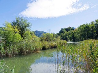 Upper bavaria landscape. Nature reserve at the end of the Schlierbach stream which flows north of lake Schliersee between the nautical base, the thermal park and the Freudenberg peninsula